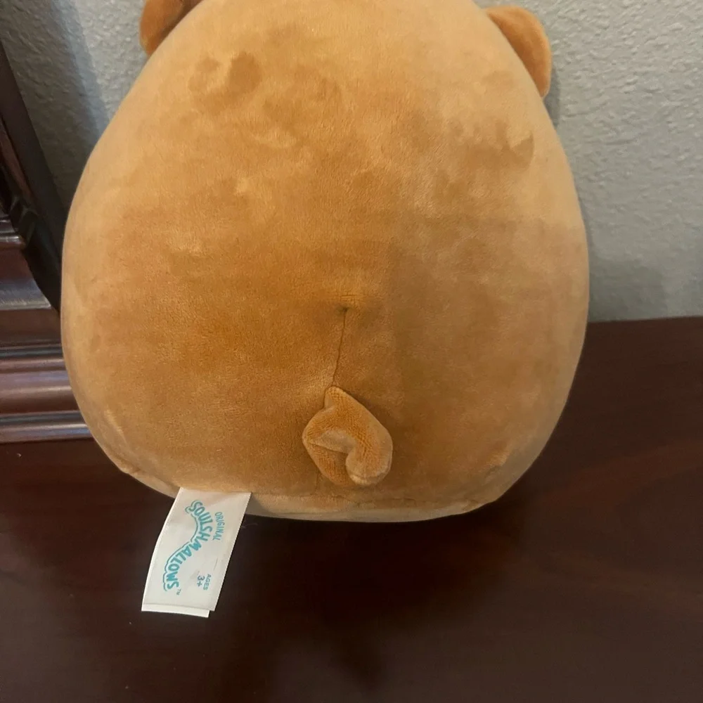 Squishmallows Dally The Pug Stuffed 8
